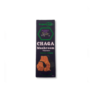 Chaga Mushroom