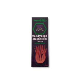 Buy Mushroom UK
